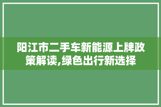 阳江市二手车新能源上牌政策解读,绿色出行新选择