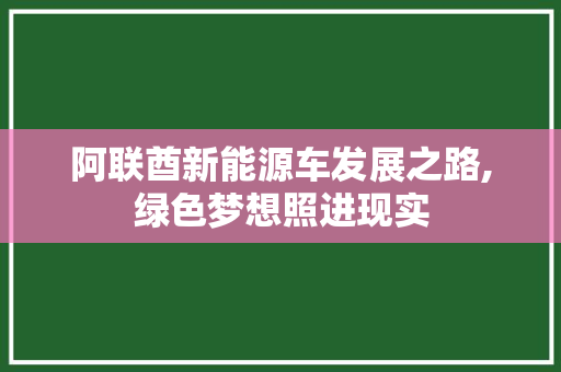 阿联酋新能源车发展之路,绿色梦想照进现实
