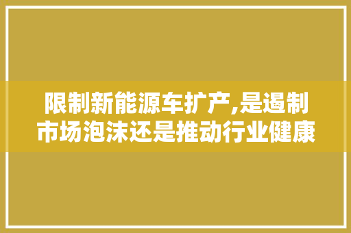 限制新能源车扩产,是遏制市场泡沫还是推动行业健康发展