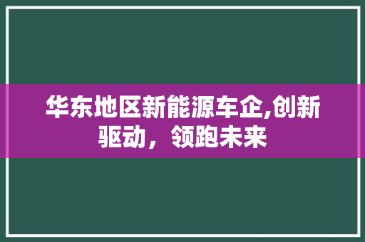 华东地区新能源车企,创新驱动，领跑未来