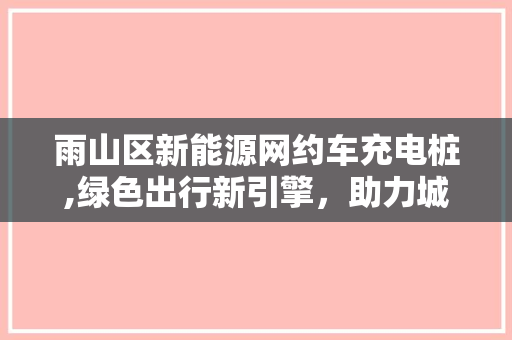 雨山区新能源网约车充电桩,绿色出行新引擎，助力城市绿色发展