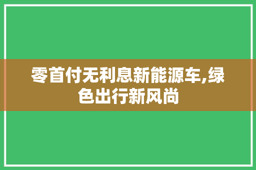 零首付无利息新能源车,绿色出行新风尚