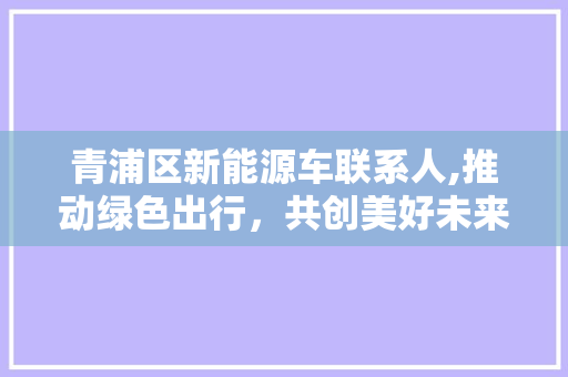 青浦区新能源车联系人,推动绿色出行，共创美好未来