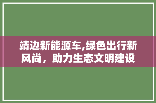 靖边新能源车,绿色出行新风尚，助力生态文明建设