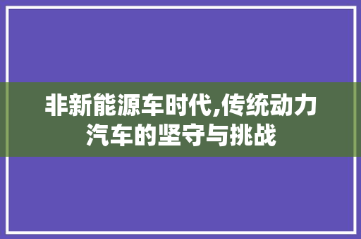 非新能源车时代,传统动力汽车的坚守与挑战