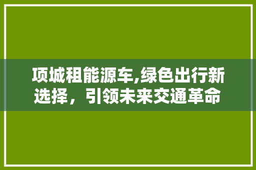 项城租能源车,绿色出行新选择，引领未来交通革命