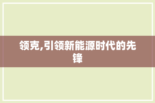 领克,引领新能源时代的先锋