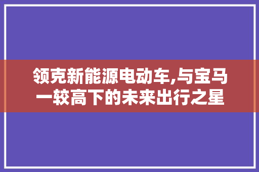 领克新能源电动车,与宝马一较高下的未来出行之星