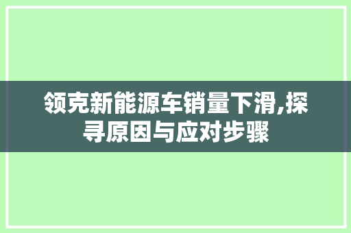 领克新能源车销量下滑,探寻原因与应对步骤