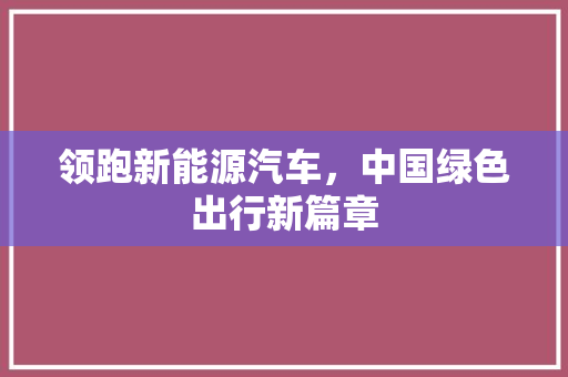 领跑新能源汽车，中国绿色出行新篇章