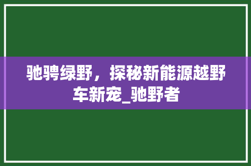 驰骋绿野，探秘新能源越野车新宠_驰野者
