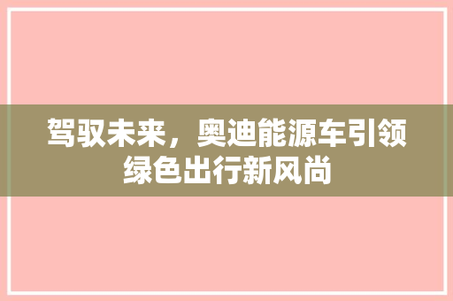 驾驭未来，奥迪能源车引领绿色出行新风尚