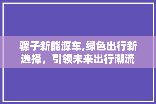 骡子新能源车,绿色出行新选择，引领未来出行潮流