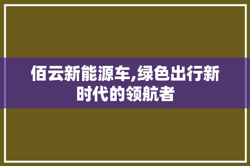 佰云新能源车,绿色出行新时代的领航者