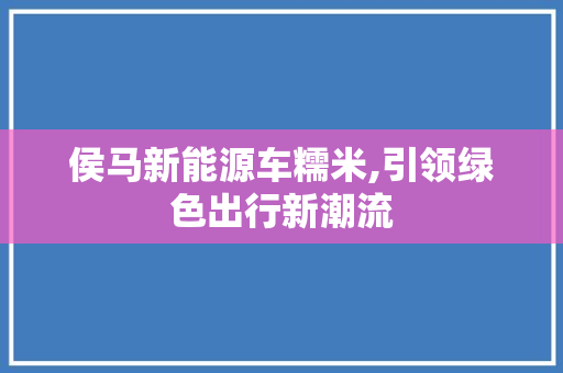 侯马新能源车糯米,引领绿色出行新潮流