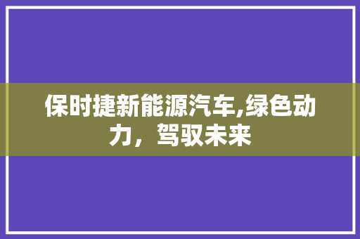 保时捷新能源汽车,绿色动力，驾驭未来