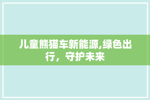儿童熊猫车新能源,绿色出行，守护未来