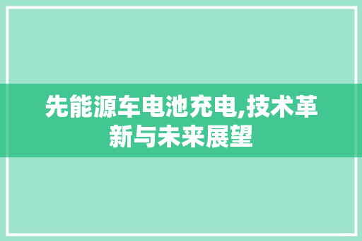 先能源车电池充电,技术革新与未来展望