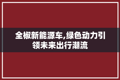 全椒新能源车,绿色动力引领未来出行潮流