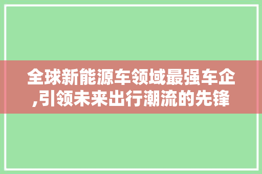 全球新能源车领域最强车企,引领未来出行潮流的先锋