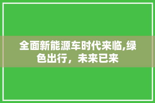 全面新能源车时代来临,绿色出行，未来已来