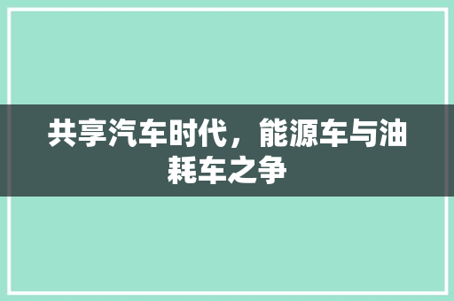 共享汽车时代，能源车与油耗车之争