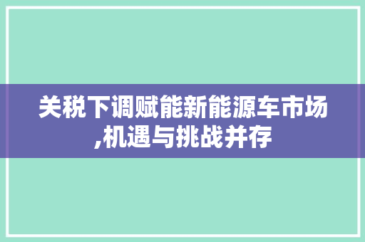 关税下调赋能新能源车市场,机遇与挑战并存