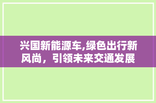 兴国新能源车,绿色出行新风尚，引领未来交通发展