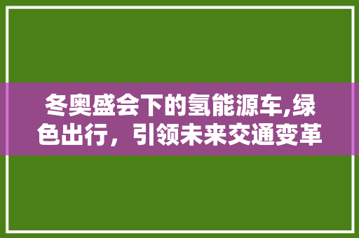 冬奥盛会下的氢能源车,绿色出行，引领未来交通变革