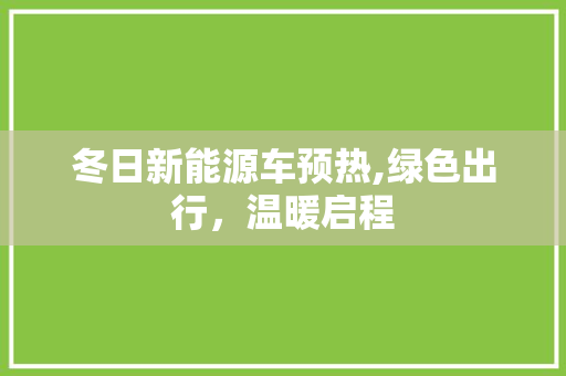 冬日新能源车预热,绿色出行，温暖启程