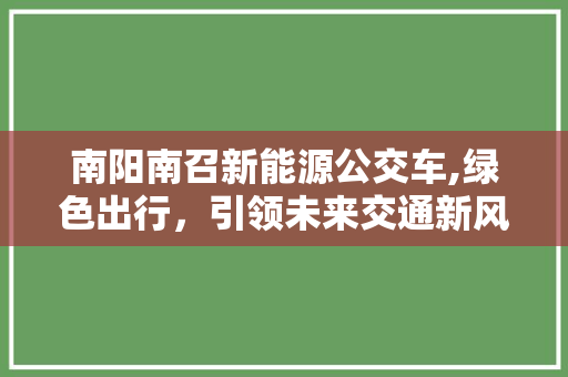 南阳南召新能源公交车,绿色出行，引领未来交通新风尚