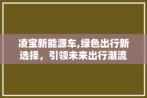 凌宝新能源车,绿色出行新选择，引领未来出行潮流