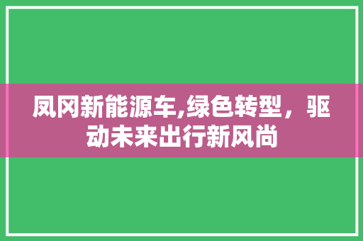 凤冈新能源车,绿色转型，驱动未来出行新风尚