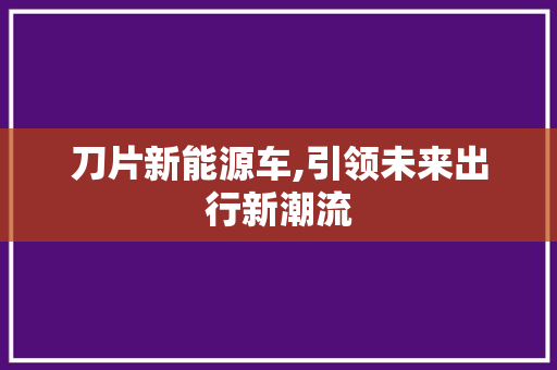 刀片新能源车,引领未来出行新潮流