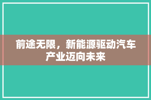 前途无限，新能源驱动汽车产业迈向未来
