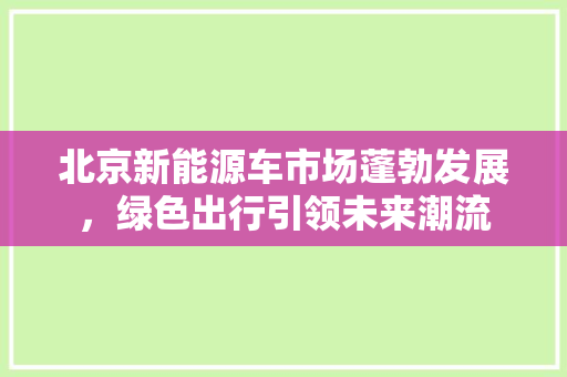 北京新能源车市场蓬勃发展，绿色出行引领未来潮流