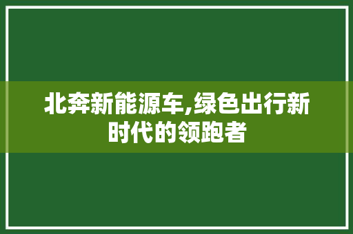北奔新能源车,绿色出行新时代的领跑者