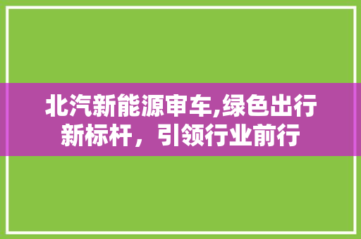 北汽新能源审车,绿色出行新标杆，引领行业前行