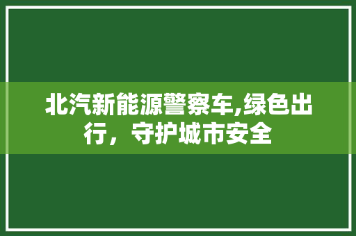 北汽新能源警察车,绿色出行，守护城市安全