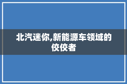 北汽迷你,新能源车领域的佼佼者