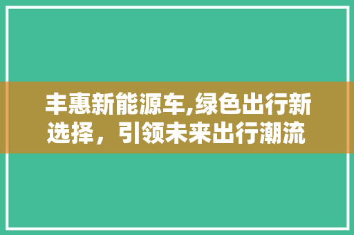 丰惠新能源车,绿色出行新选择，引领未来出行潮流