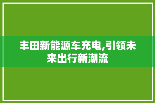 丰田新能源车充电,引领未来出行新潮流