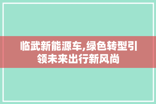 临武新能源车,绿色转型引领未来出行新风尚
