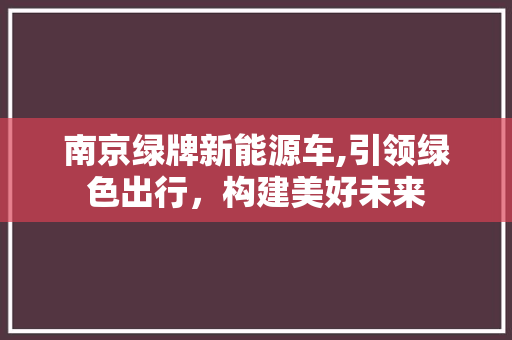 南京绿牌新能源车,引领绿色出行，构建美好未来