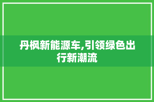 丹枫新能源车,引领绿色出行新潮流