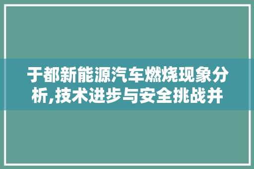 于都新能源汽车燃烧现象分析,技术进步与安全挑战并存