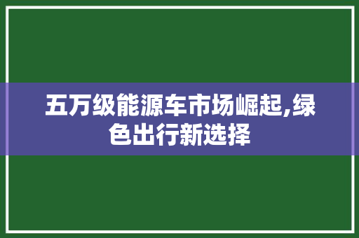 五万级能源车市场崛起,绿色出行新选择