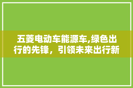 五菱电动车能源车,绿色出行的先锋，引领未来出行新潮流