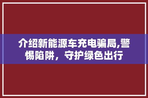 介绍新能源车充电骗局,警惕陷阱，守护绿色出行