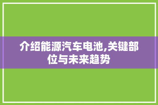 介绍能源汽车电池,关键部位与未来趋势